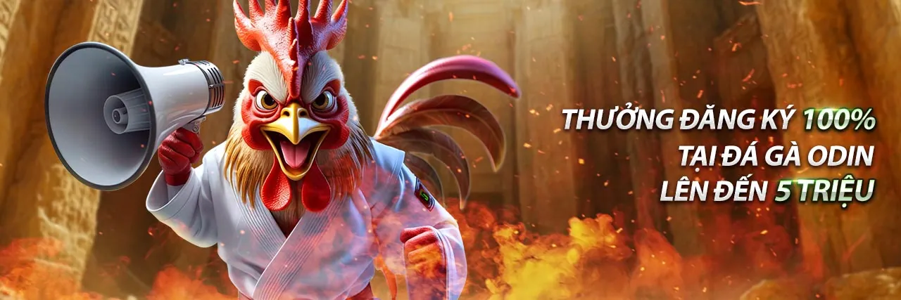 Đá gà trực tuyến kịch tính tại pg66 online casino